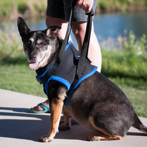 Walkabout Front Leg Support Harness - Doolittlespetproducts - 1