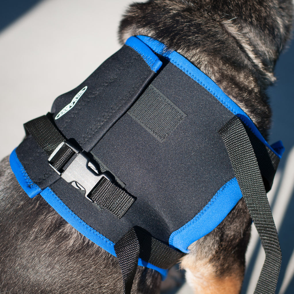 Walkabout Front Leg Support Harness - Doolittle's Pet Products - 2