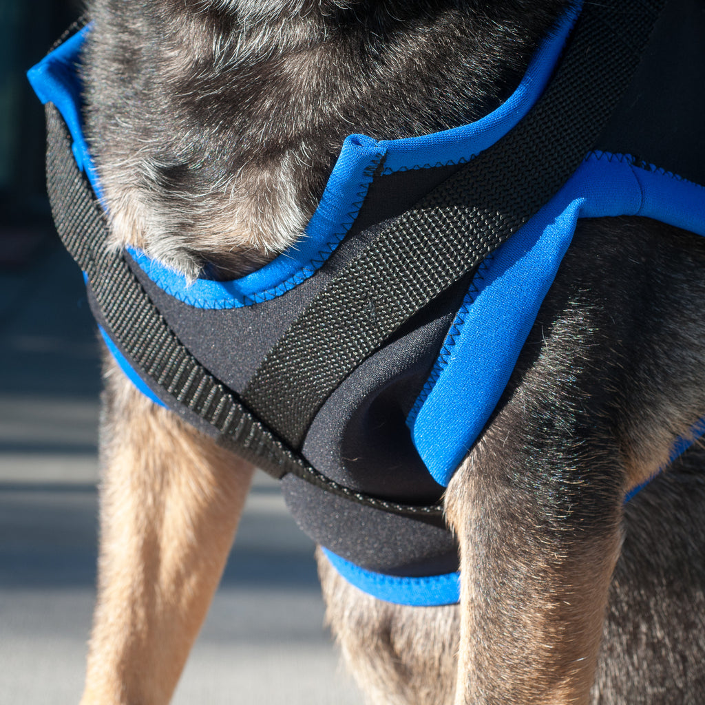 Walkabout Front Leg Support Harness - Doolittle's Pet Products - 3