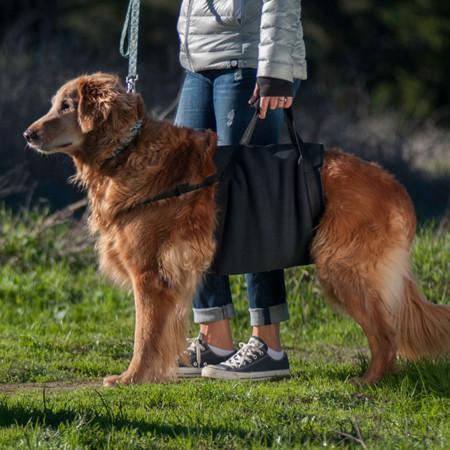 Walkabelly Dog Sling Harness by Walkabout