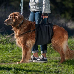 Walkabelly Dog Sling Harness by Walkabout