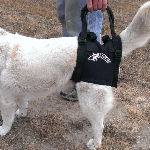 Airlift One Rear Support Dog Sling by Walkabout - Doolittlespetproducts - 1