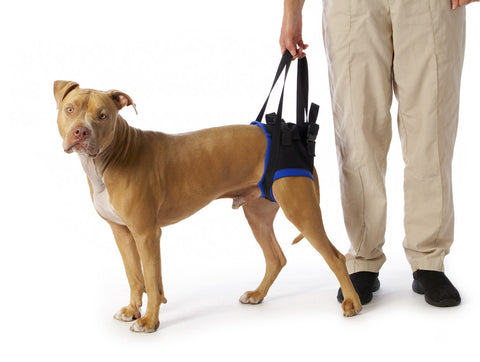 Rear Dog Sling Harness by Walkabout - Doolittlespetproducts - 1
